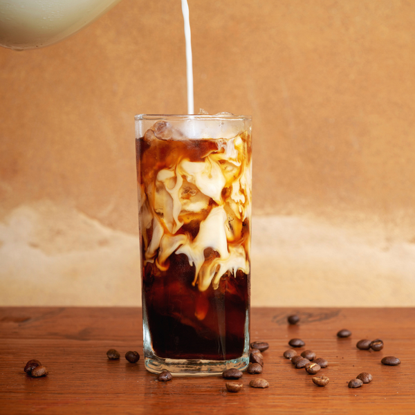 ZAKARIAN COLLECTION - Cold Brew